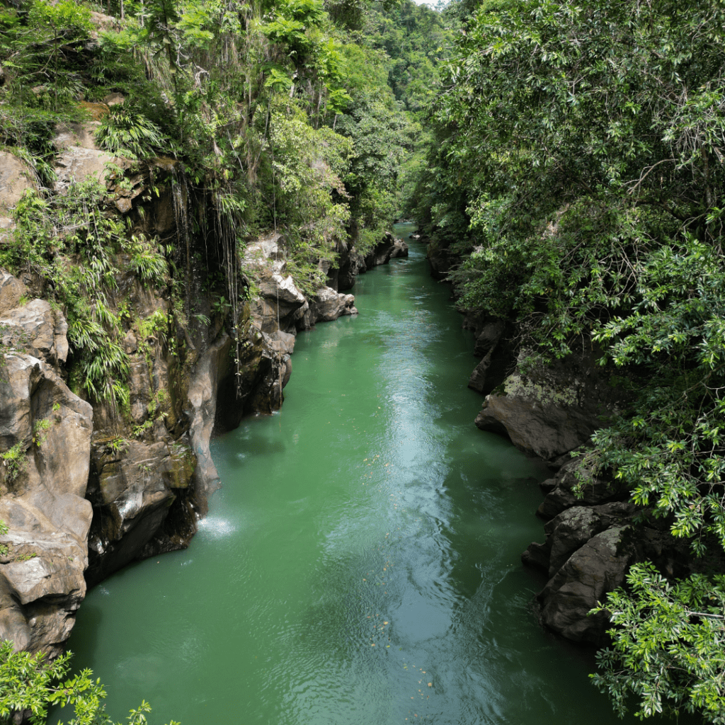 Paseos Rio La Miel, Rio Manso Norcasia, Caldas