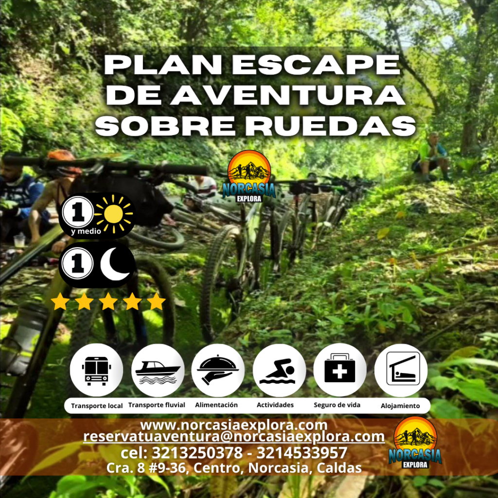 Plan escape de aventura sobre ruedas