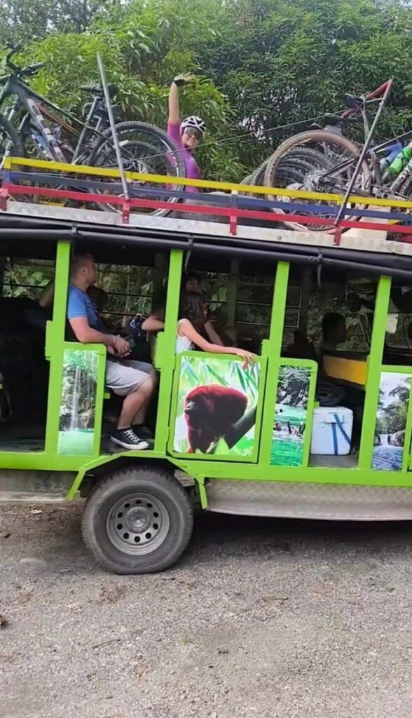 Bicicleta